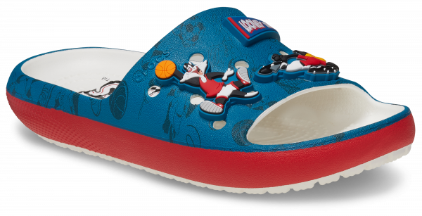 Looney Tunes Classic Slide Kids