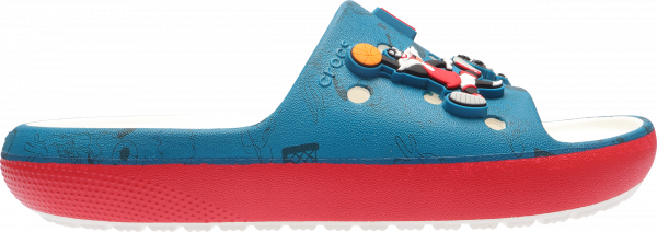 Looney Tunes Classic Slide Kids